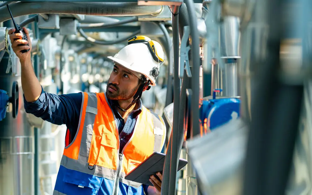 Pas de pause cet été !