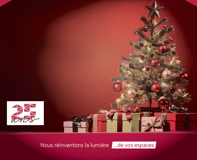 Toute l&rsquo;équipe RESOLUTION FRANCE vous souhaite de joyeuses fêtes de fin d&rsquo;année ! ✨